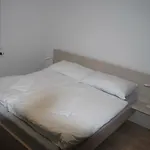 U Zamku شقة *